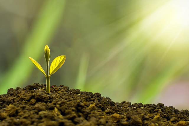Guía completa sobre el Aval Bancario Guía completa sobre el Aval Bancario